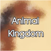 AnimalKingdon