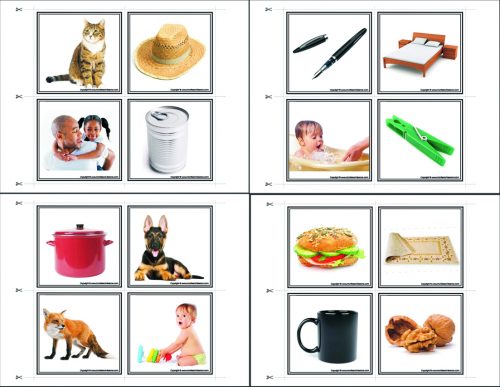 Picture, Word families